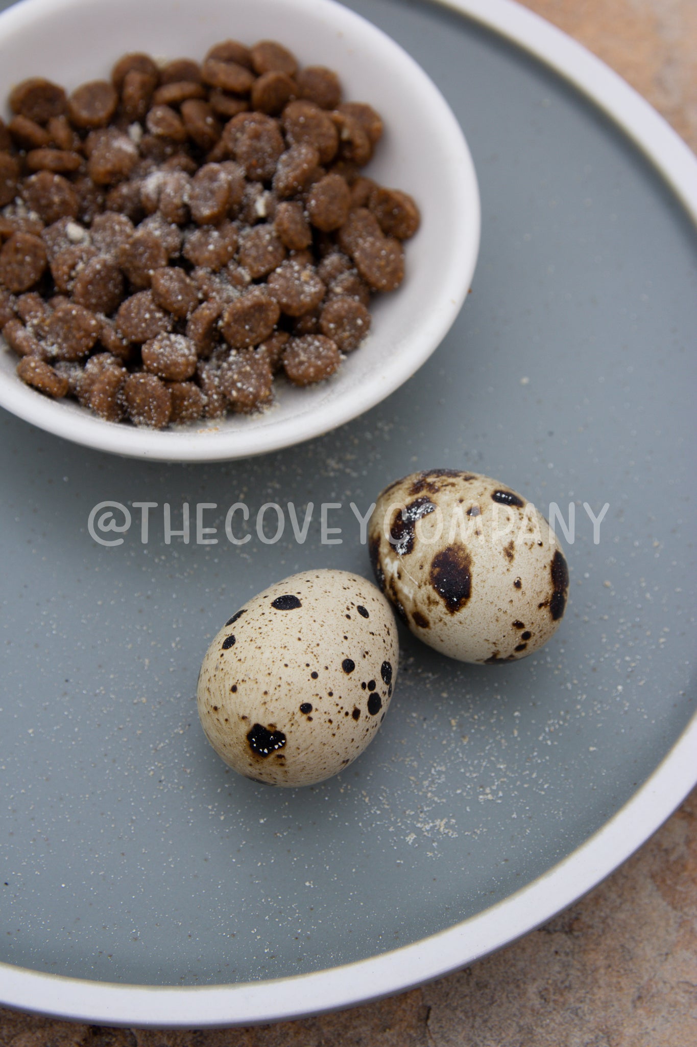 Can dogs best sale eat quail eggs